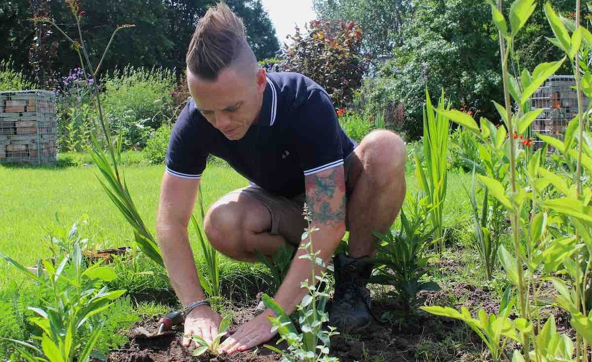 Plant spacing in the garden