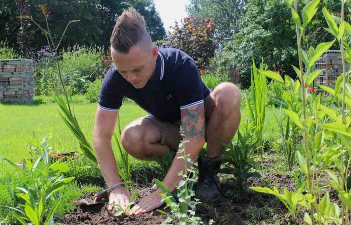 Plant spacing in the garden