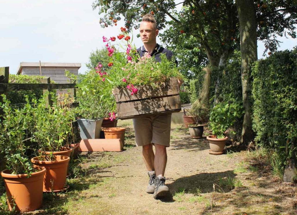 Garden Ninja walking holding a crate of plants