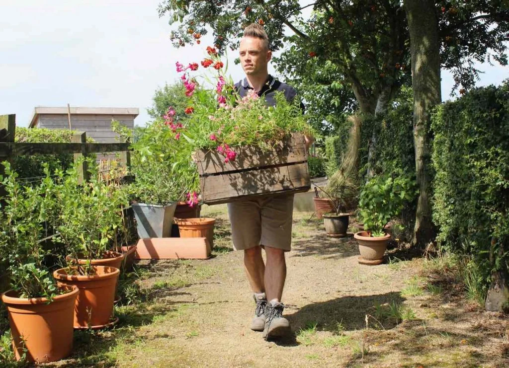 Garden Ninja marchant tenant une caisse de plantes
