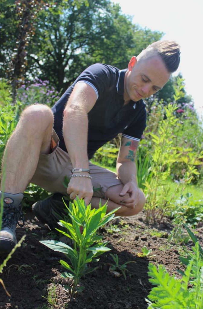 Garden Ninja weeding a garden