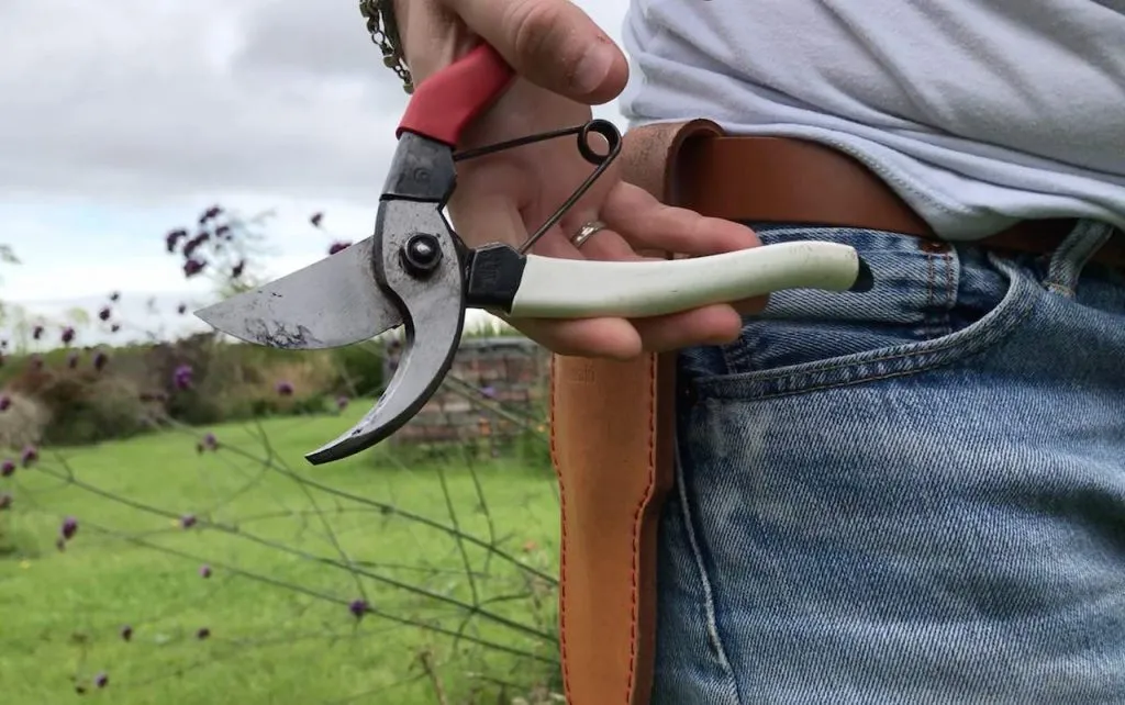 Gareden Ninja holding secateurs