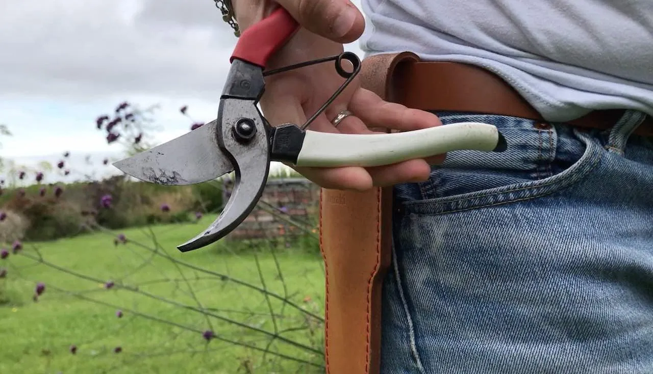 Gareden Ninja holding secateurs