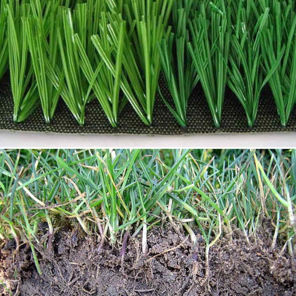 Artificial turf compared to real grass