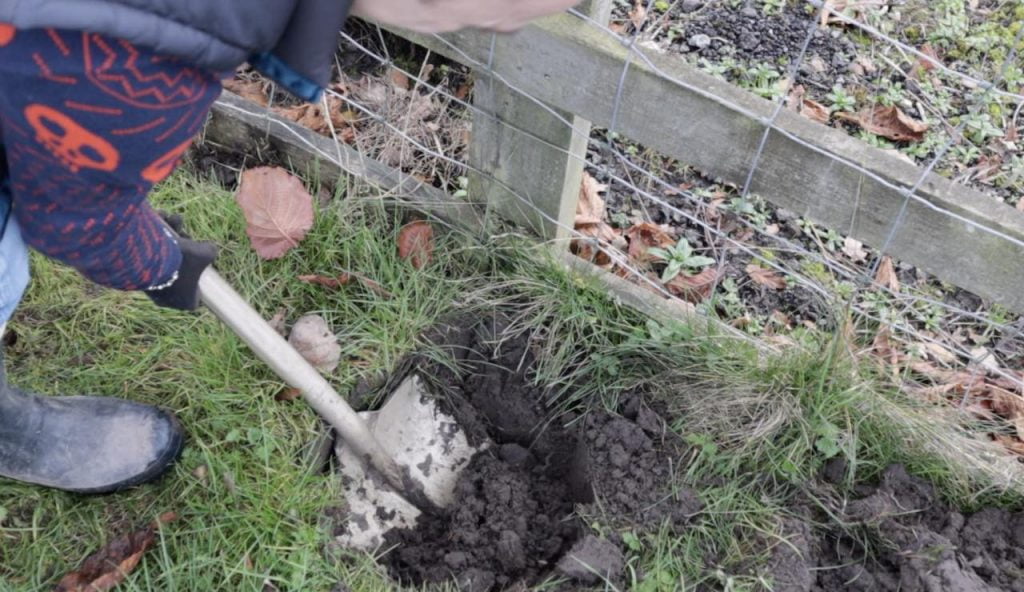 A hole being dug by garden ninja