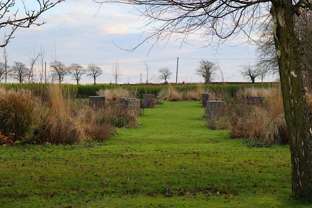 Exploding atom garden in winter