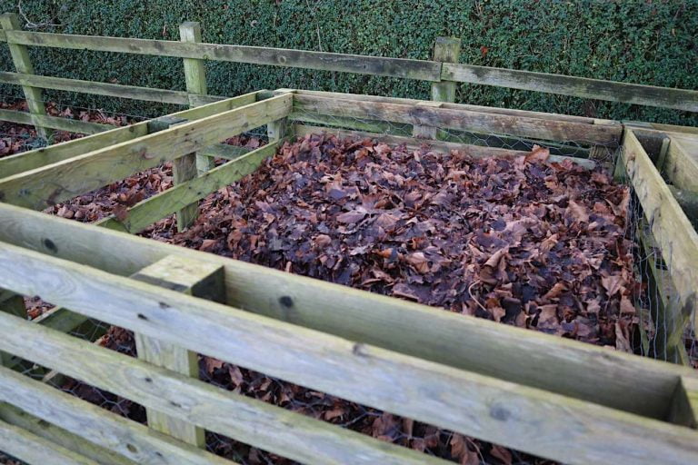 How to make leaf mould recycling garden leaves Garden Ninja Lee