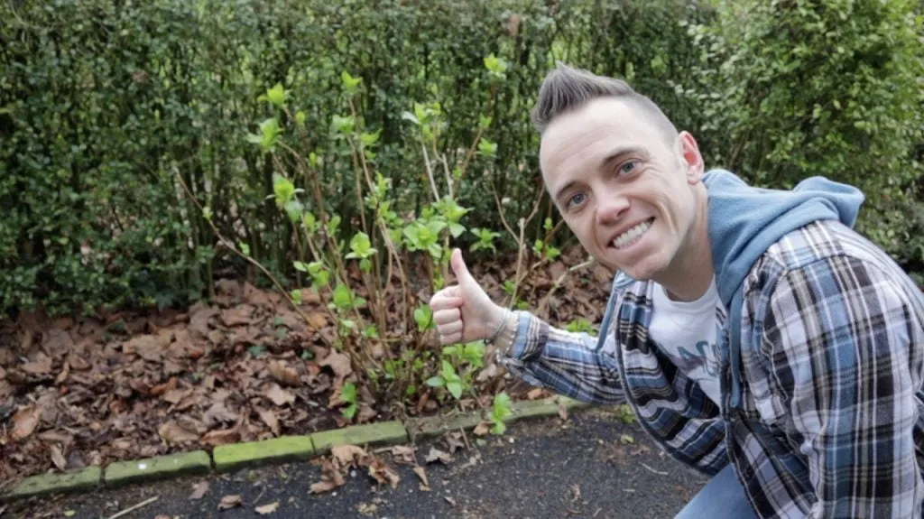 Garden ninja holding Niwaki secateurs