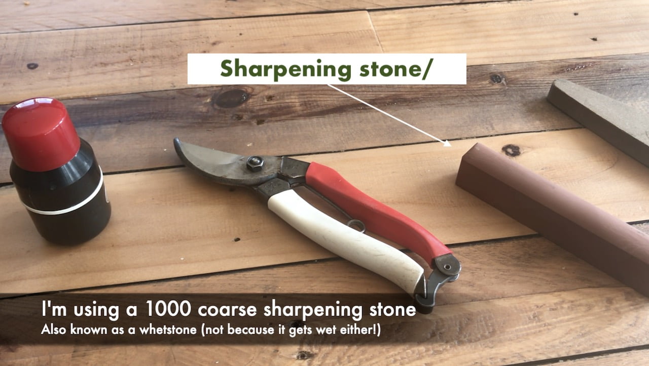 Secateur sharpening tools laid out on a bench