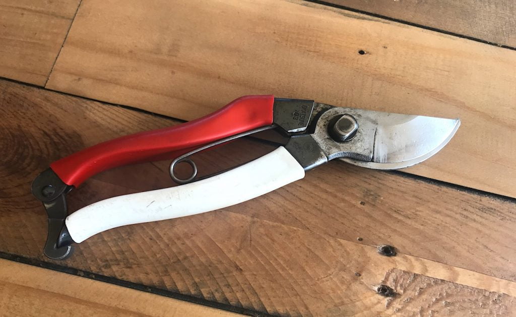A pair of garden ninjas secateurs