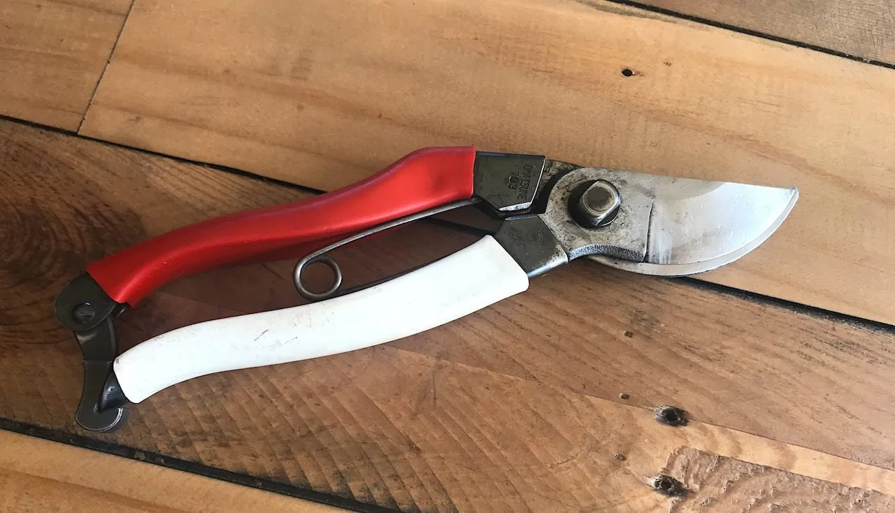A pair of garden ninjas secateurs
