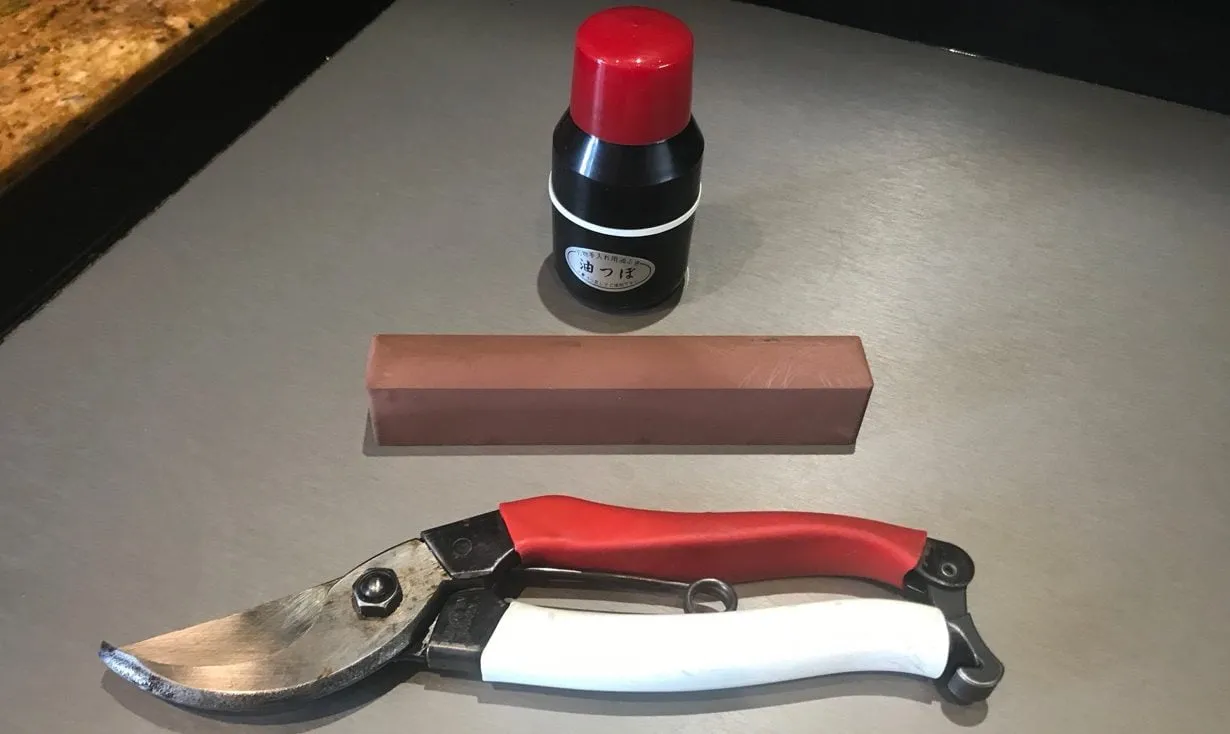 A set of secateurs
