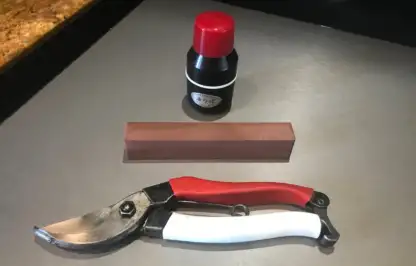 A set of secateurs