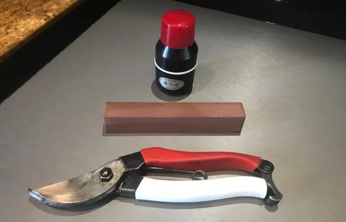 A set of secateurs