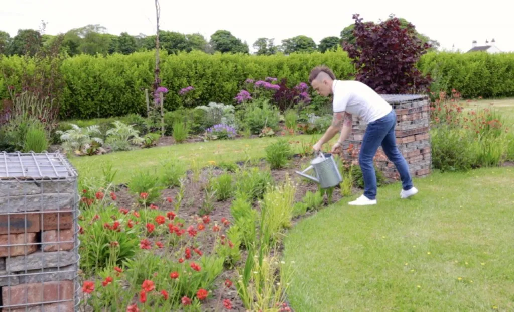 Garden Ninja watering a flower bed