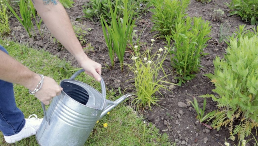 Garden Ninja spot watering plants