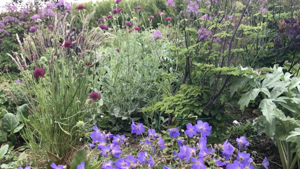 A layered up flower bed design