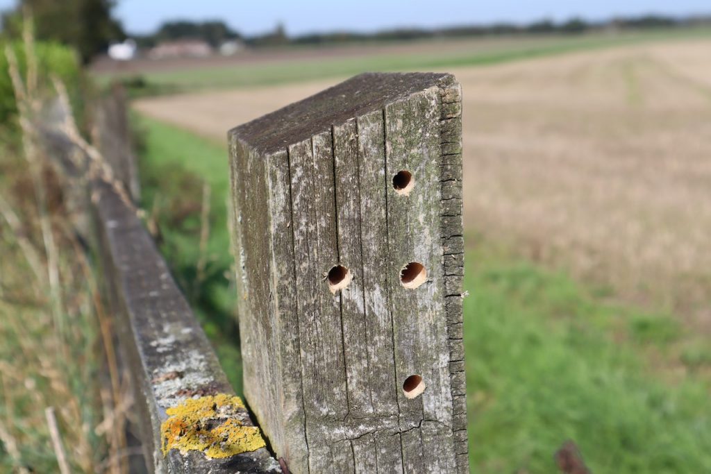 A home made solitary bee hotel