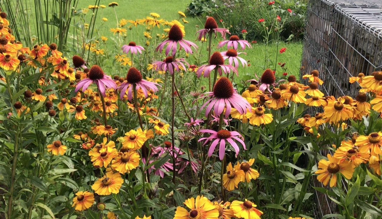 Garden Ninjas Exploding Atom Garden