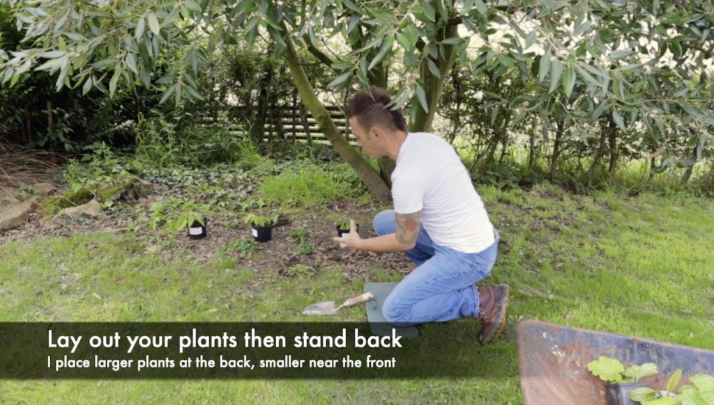 Garden Ninja laying out plants