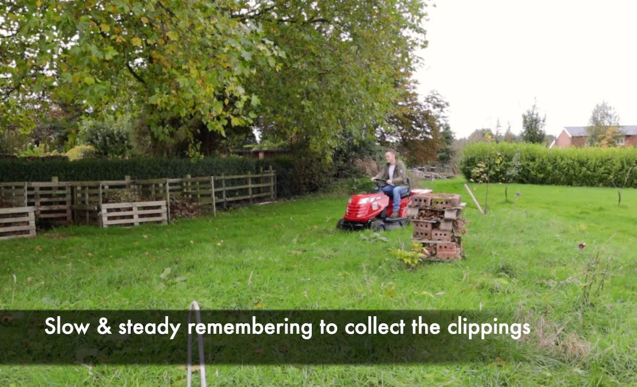 How & when to cut a wildflower meadow Garden Ninja Lee Burkhill