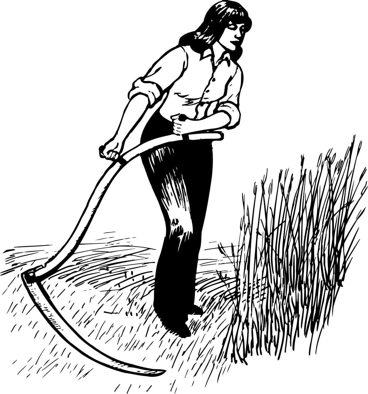 Garden Ninja using a scythe to cut back a wildflower meadow