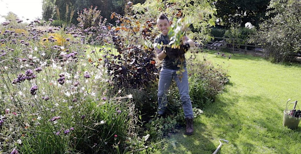 Lifting a plant for splitting