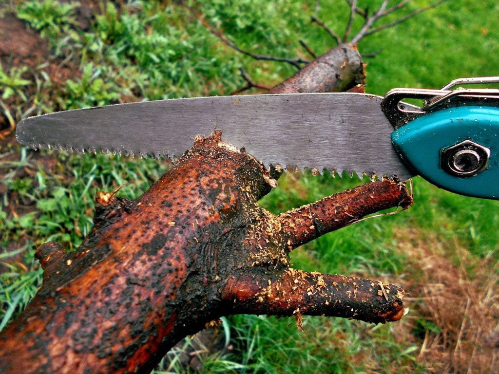 Hard pruning explained