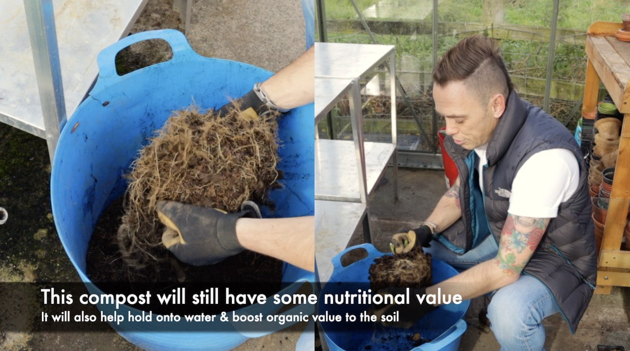 Reusing Compost 3 quick ways to recycle it Garden Ninja Lee