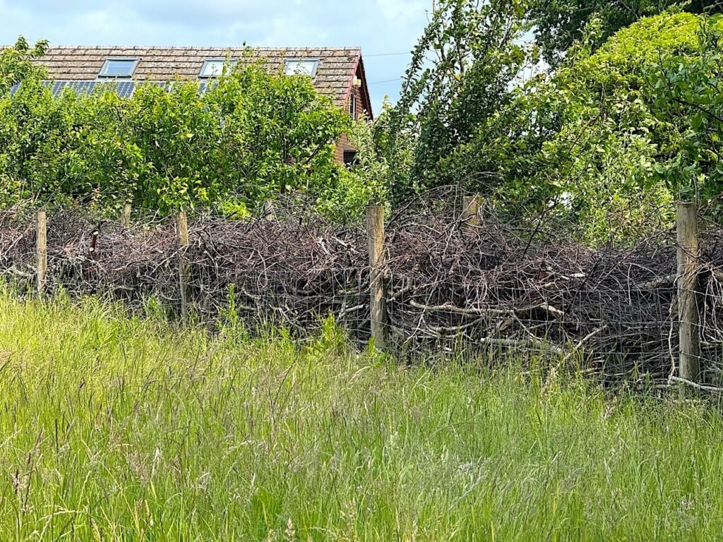 How to build a dead hedge