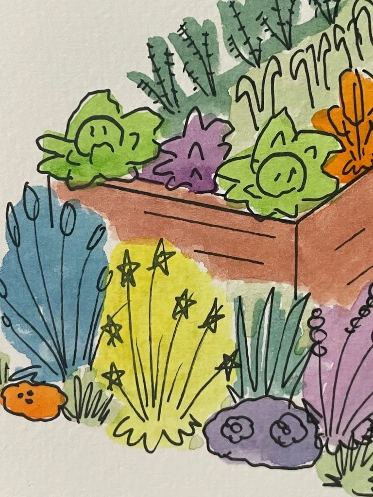 Coloured vegetables in a drawing by Lee Burkhill