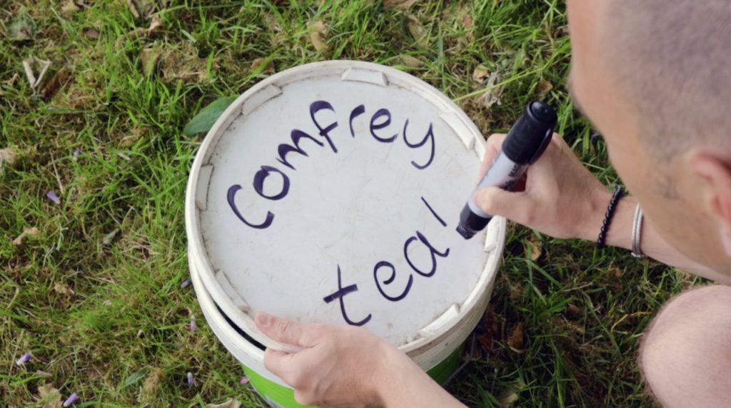 Labelling comfrey tea container