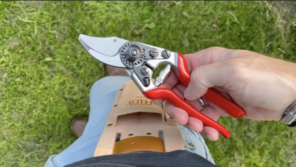 Sharp secateurs