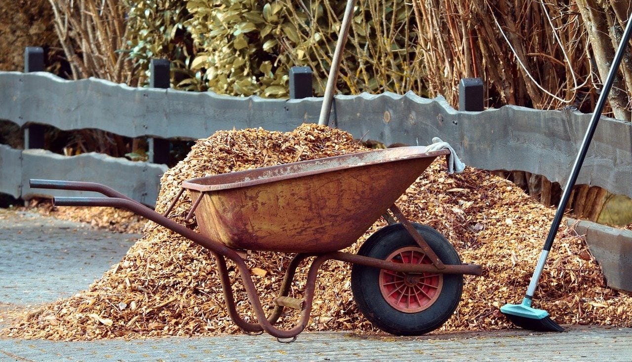 Winter wheelbarrow full of leaves