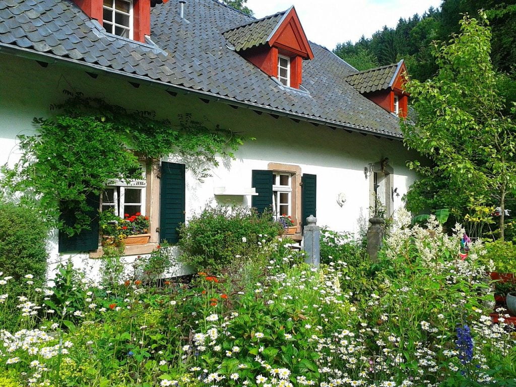 Cottage garden mixed bed of herbaceous and frut