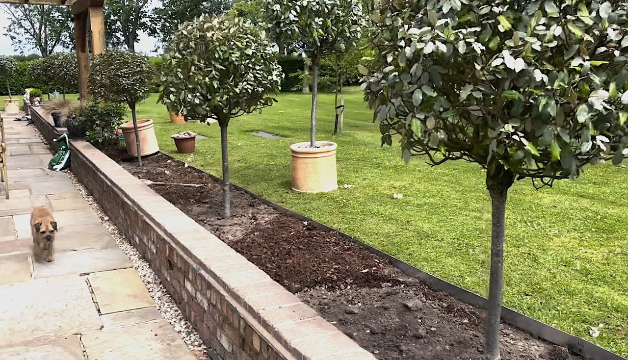 Lawn edging in a garden