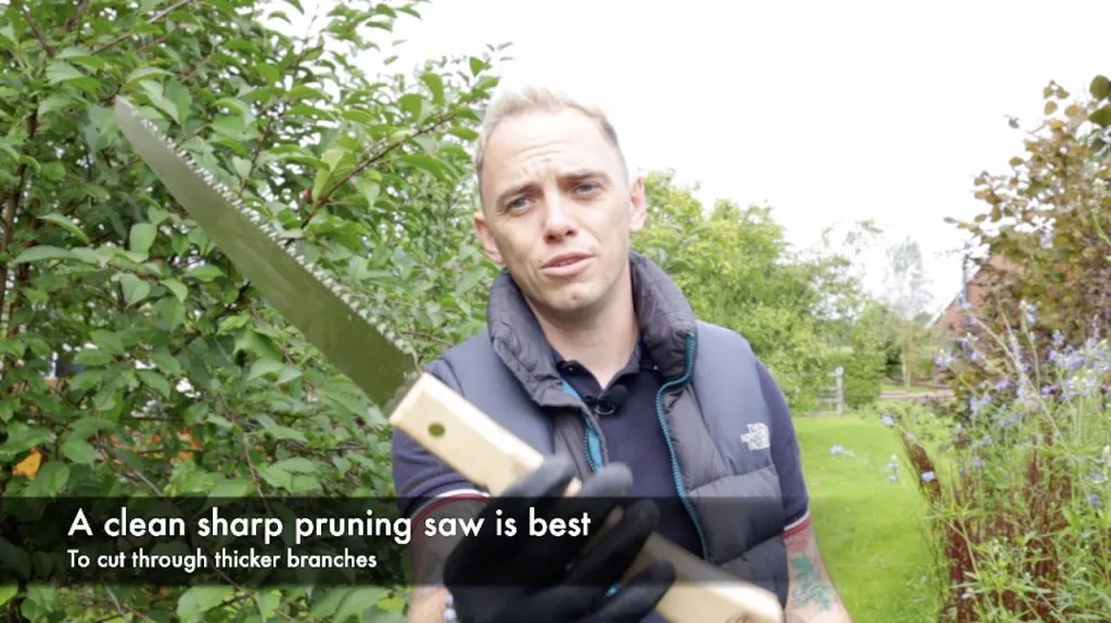 Lee Burkhill showing a pruning saw for tree pruning