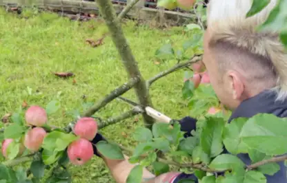 Top down pruning cut