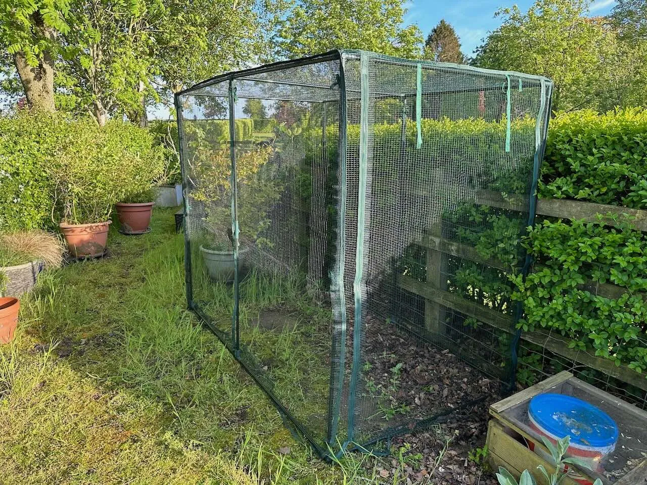 Fruit cage for gooseberries