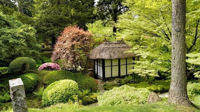 A japanese tea room in a garden