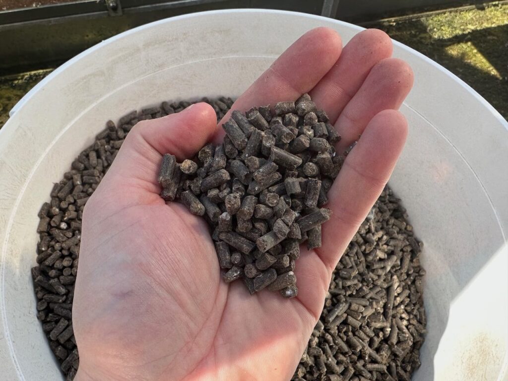 Organic garden feed in pellet form