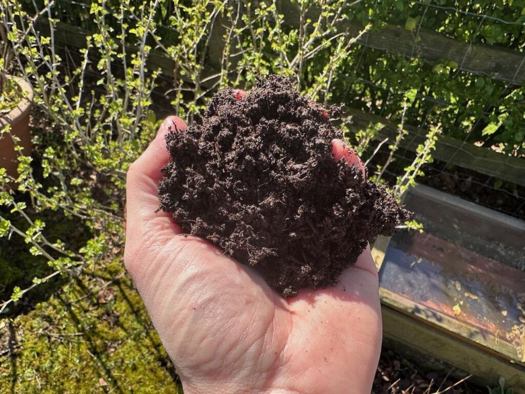A handful of peat free homemade compost