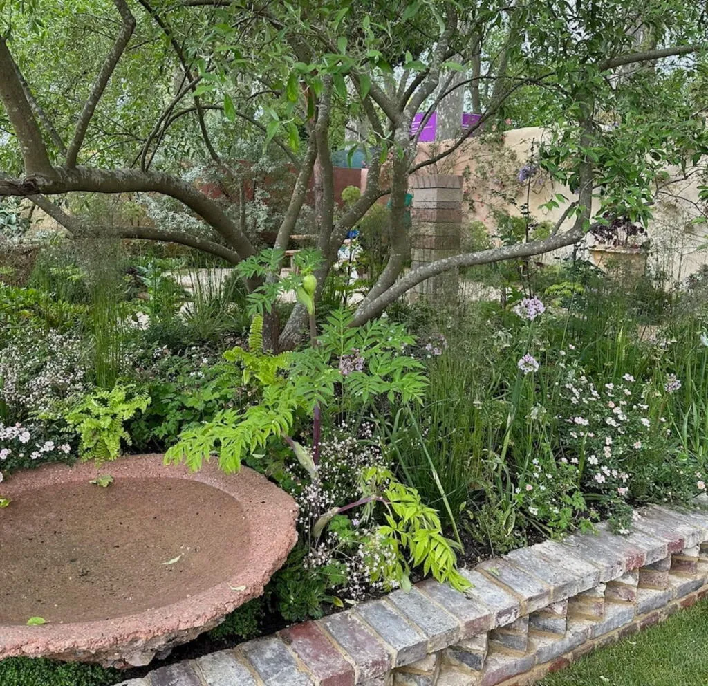 Main avenue show gardens chelsea
