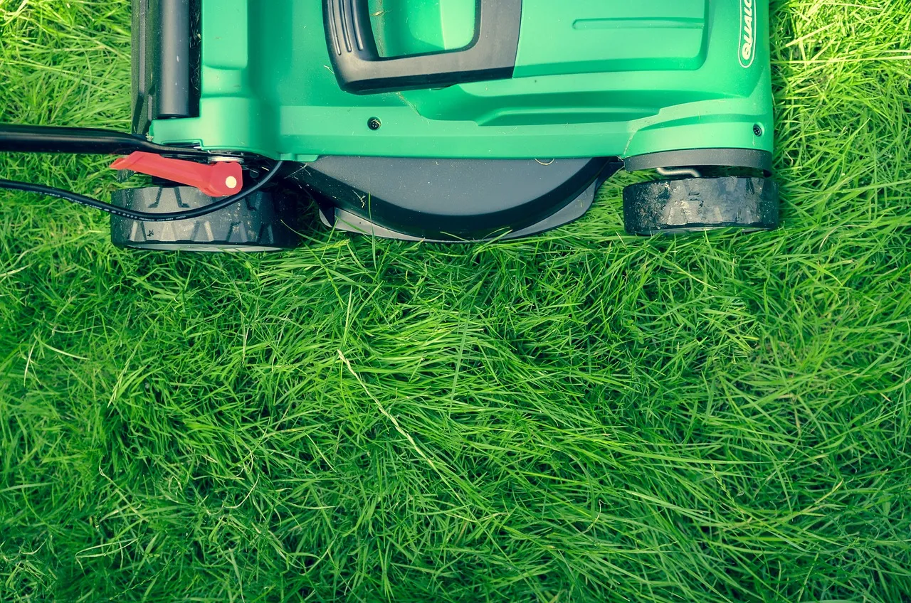 An electric corded plug-in lawn mower on a garden lawn