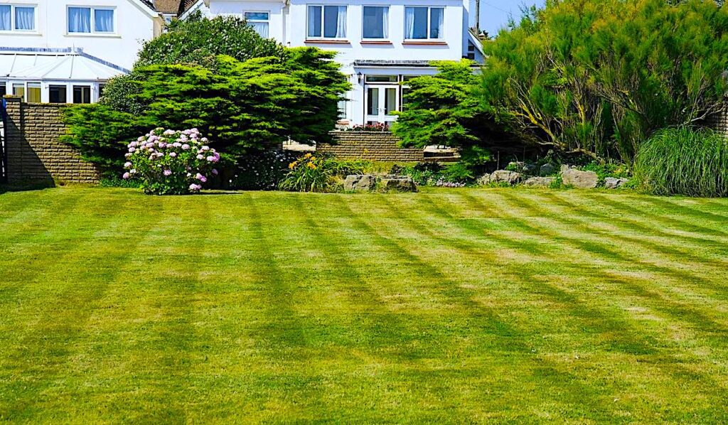 Green striped lawn