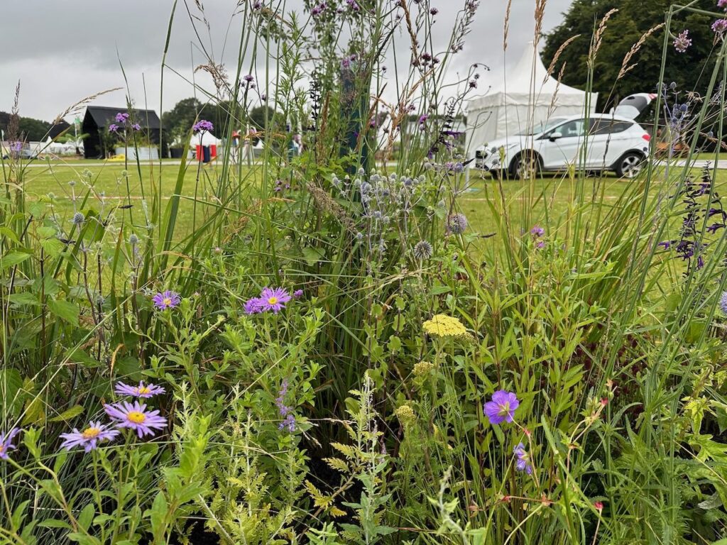 Coastal plants in a show garden border by Lee Burkhill