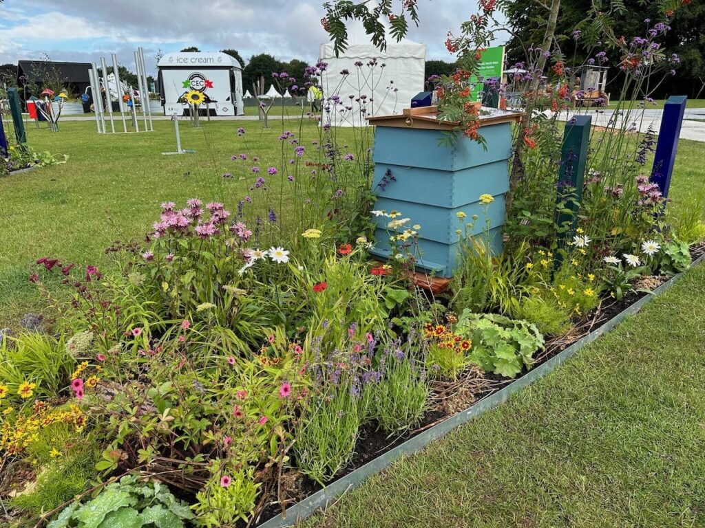 Pollen rich herbaceous planting bed at RHS Tatton