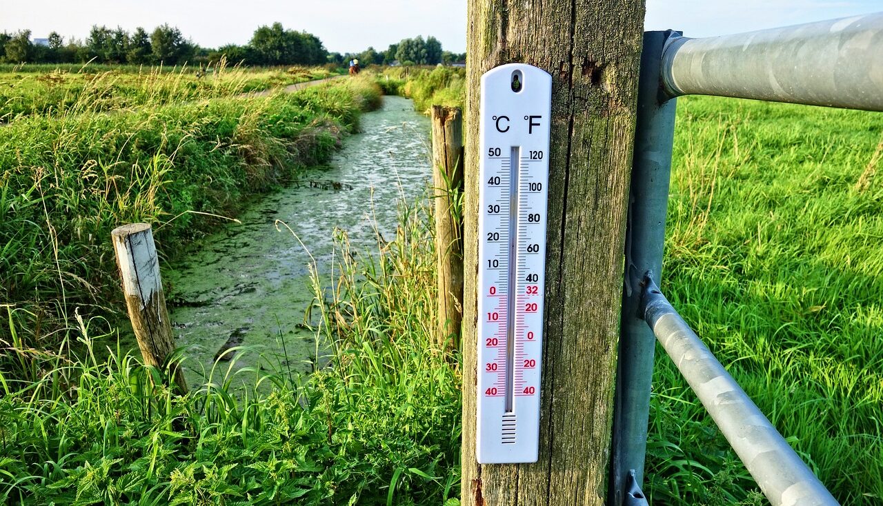 Plant hardiness rating