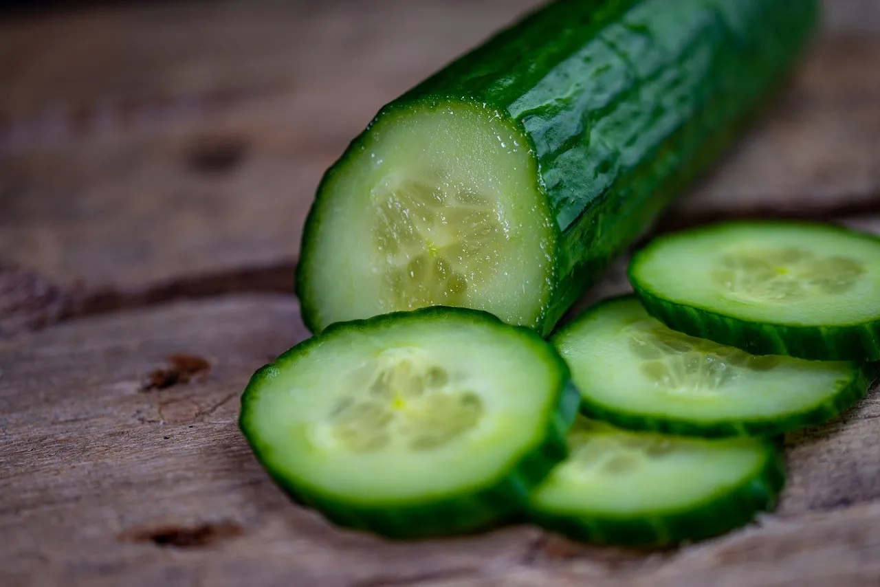 Cucumbers growing in a UK garden