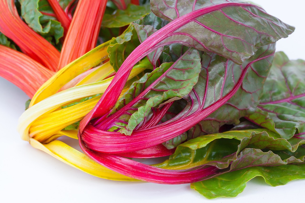 Rainbow chard stems in red, yellow and pink